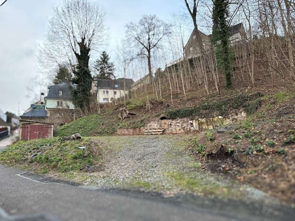 Komfort und Gemütlichkeit: Einfamilienhäuser für jeden Anspruch