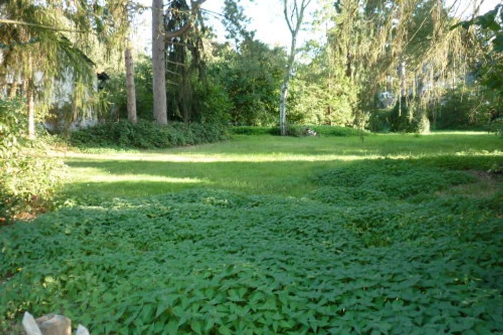 NEU 2026 BAUGRUNDSTÜCK in TOP LAGE, Rarität im „Stadtparkviertel“