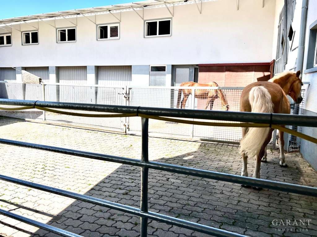 Lukratives und exklusives Pferdeanwesen